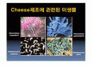 치즈 속 미생물. 15페이지