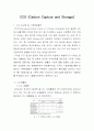CCS에 대하여 1페이지