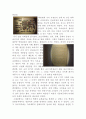  한국사 레포트 - 박물관 2페이지
