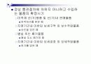 관세관계법규와 관세행정기구 13페이지