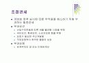 탄력관세제도와 관세의 부과 및 징수 7페이지