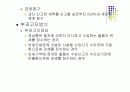 탄력관세제도와 관세의 부과 및 징수 13페이지