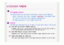 토요타의 봉건적 사슬  25페이지