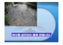 북부수자원생태공원 답사(하수처리장) A+자료 26페이지