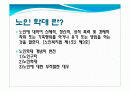 노인학대에 대하여 2페이지