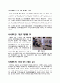 [아동복지]아동학대의 발생원인을 제시하고 예방대책에 대해 논하시오(다양한 아동학대 발생원인 분석과 예방대책 모색) 12페이지