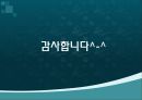 죄와벌에대한 작품해설과 분석,줄거리 PPT 10페이지