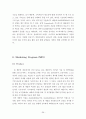 마케팅 신제품 런칭 전략 보고서 (SWOT, 4P, STP 등) 39페이지