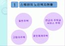 스웨덴의 케어복지 17페이지