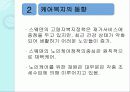 스웨덴의 케어복지 20페이지