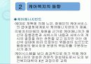 스웨덴의 케어복지 25페이지