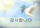 포비즘(야수파) 46페이지