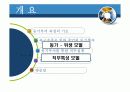 동기부여이론의 기초 4페이지