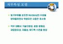 동기부여이론의 기초 15페이지