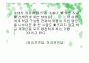 아동행동 측정도구 및 분석법 44페이지