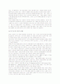 [테니스기술, 테니스] 테니스 A+ 완벽정리(테니스의 역사와 발전 및 테니스의 기술과 연습법, 테니스 에티켓) 31페이지