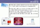 브랜드와 네이밍 전략과 원리 15페이지