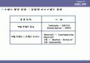 브랜드와 네이밍 전략과 원리 30페이지