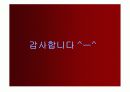 [발표자료] 『타코마교의 붕괴사건』에 대하여 8페이지