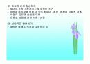 아동상담에 대한 발표 29페이지