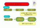 사이버 중독-도박 13페이지