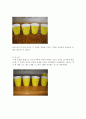 유아의 수 능력 발달 보고서 4페이지