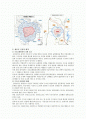 [세종시] 세종시 건설에 대한 논란 및 과제 2페이지