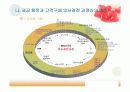 e-비즈니스 구축실무 레포트 10페이지