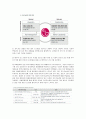 LG전자의 지속가능경영 13페이지