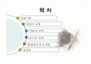 대리출석의 실태와 문제점 및 해결방안 3페이지