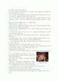 다 벤허(Judah Ben-Hur: 찰톤 헤스톤 분) 2페이지