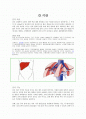 간[liver]에 대하여  1페이지