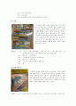 유치원교구(보육사)에서 수학적 활동 찾기 14페이지