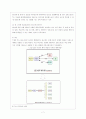 발권예약 시스템 GDS와 CRS 7페이지