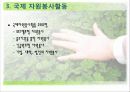 지역사회에서의 자원봉사활동 19페이지