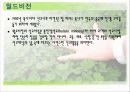 지역사회에서의 자원봉사활동 24페이지