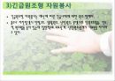 지역사회에서의 자원봉사활동 25페이지