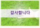 지역사회에서의 자원봉사활동 29페이지