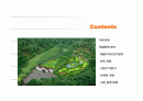 (부동산개발사업)노원구상계동골프연습장사업계획서 2페이지