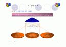 (부동산개발사업)대전광역시관저지구도시개발사업사업계획서 37페이지