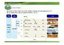 (부동산개발사업)화성시발안골프연습장사업계획서 10페이지