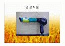 소음저감 드라이어설계 19페이지