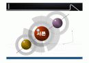대통령의 리더십 성공사례  4페이지