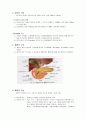   간의 구조와 기능 병태생리  4페이지