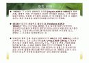 가이아로서의 지구 3페이지