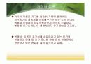 가이아로서의 지구 11페이지