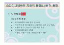 스칸디나비아 국가의 음식문화(노르웨이,스웨덴,덴마크,핀란드,아이슬란드) 4페이지