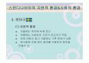 스칸디나비아 국가의 음식문화(노르웨이,스웨덴,덴마크,핀란드,아이슬란드) 8페이지