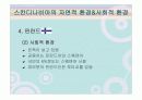 스칸디나비아 국가의 음식문화(노르웨이,스웨덴,덴마크,핀란드,아이슬란드) 11페이지