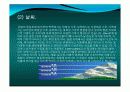 스위스의 소개(자연,사회,문화,역사,경제)40page ppt 6페이지